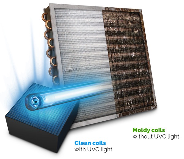 COMMERCIAL AIR PURIFIERS IN FRESNO, CA